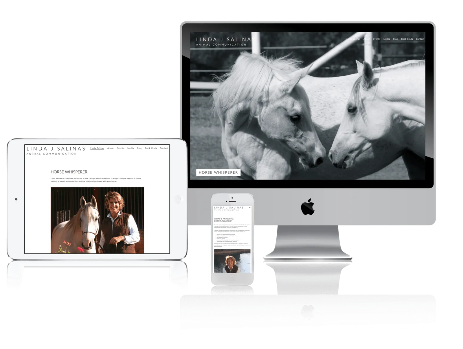 Horse trainer website shown on desktop, laptop, tablet and phone