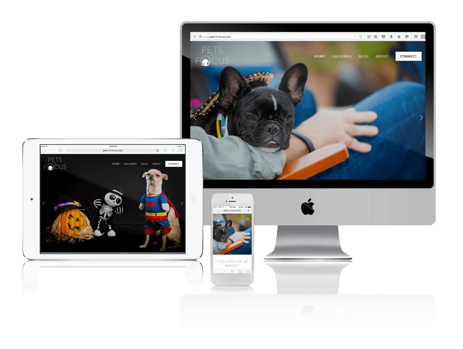 Pet photographer website shown on desktop, laptop, tablet and phone
