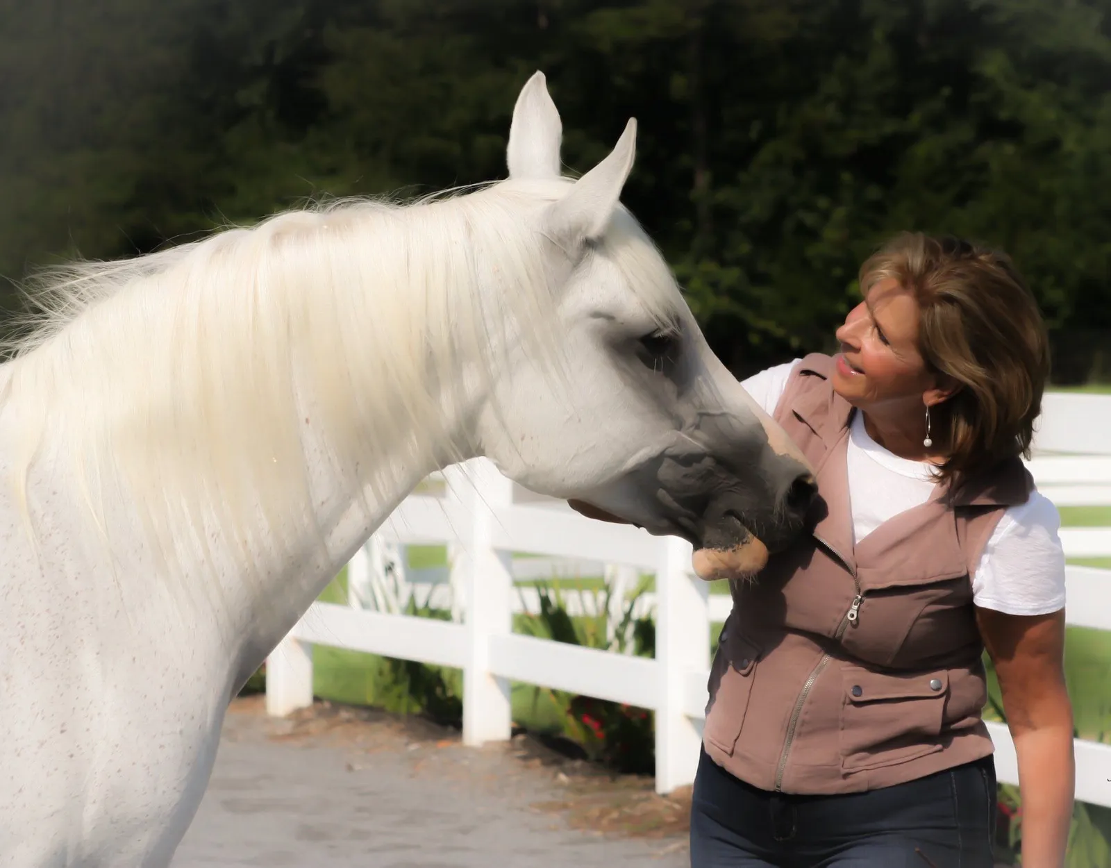 Horse trainer with a white horse, featured image from the website