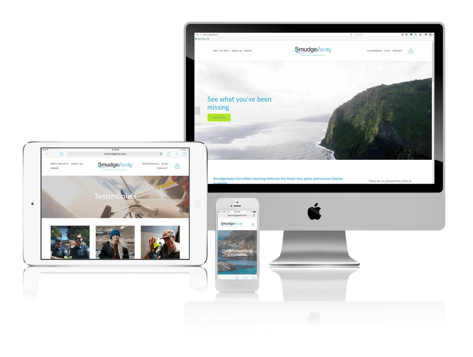 Product brand website shown on desktop, laptop, tablet and phone