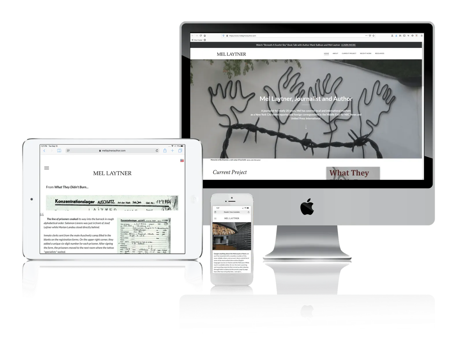 Author website shown on desktop, laptop, tablet and phone