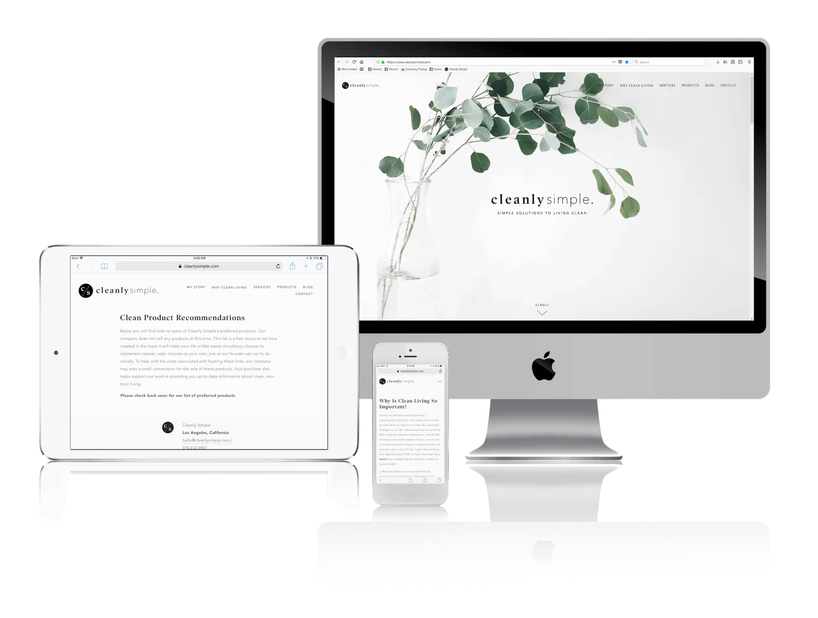 Clean living consultant website shown on desktop, laptop, tablet and phone