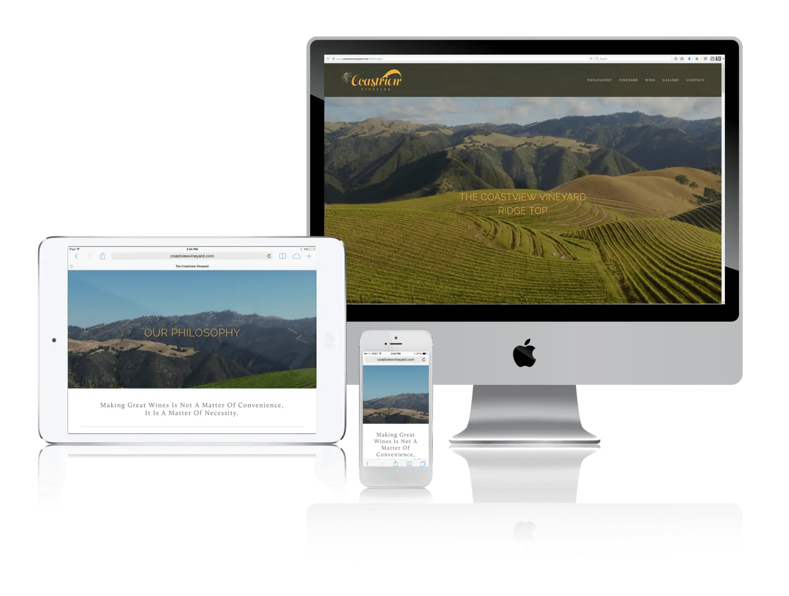 Vineyard website shown on desktop, laptop, tablet and phone